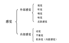 2019СW(xu)̎Y̌W(xu)֪R(sh)cc(din):X(ju)